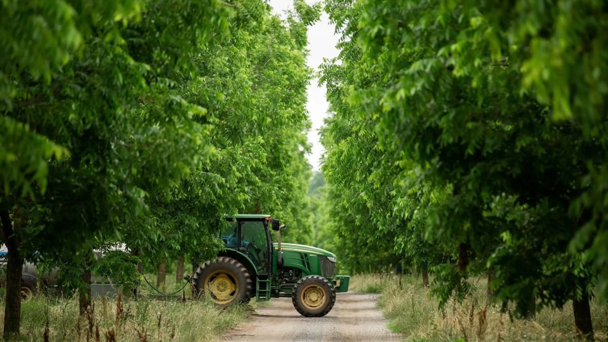 Georgia Is Rapidly Losing Farmland. Can a State Conservation Fund Help Save It?