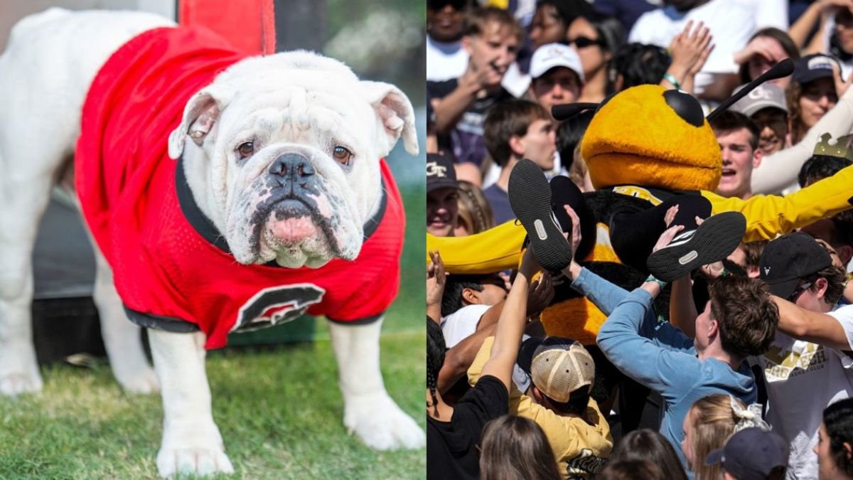 The Sideline Stars: Celebrating Georgia’s Favorite Mascots on National Mascot Day