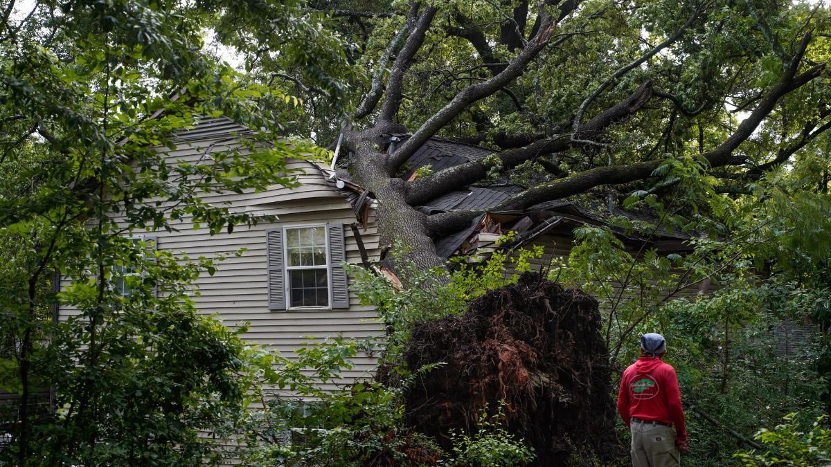 Trees Down and Roads Blocked as Arthur’s Remnants Move Through South Georgia